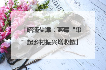 昭通盐津：蓝莓“串”起乡村振兴增收链