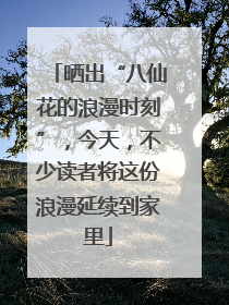 晒出“八仙花的浪漫时刻”，今天，不少读者将这份浪漫延续到家里