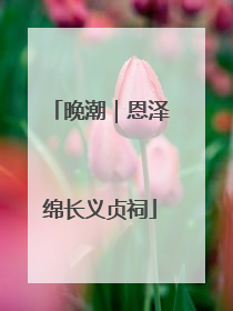 晚潮｜恩泽绵长义贞祠