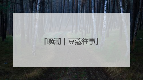 晚潮｜豆蔻往事