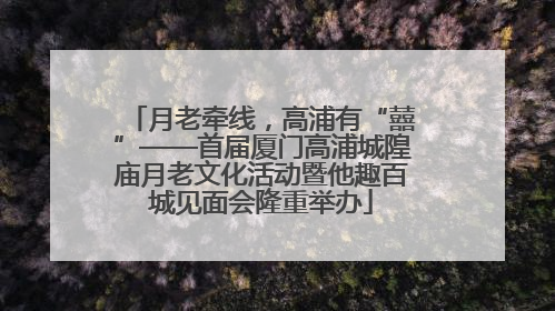 月老牵线，高浦有“囍”——首届厦门高浦城隍庙月老文化活动暨他趣百城见面会隆重举办