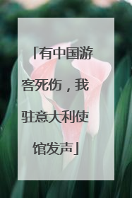 有中国游客死伤，我驻意大利使馆发声