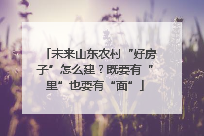 未来山东农村“好房子”怎么建？既要有“里”也要有“面”