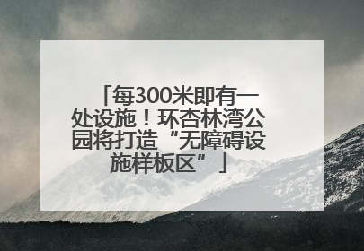 每300米即有一处设施！环杏林湾公园将打造“无障碍设施样板区”