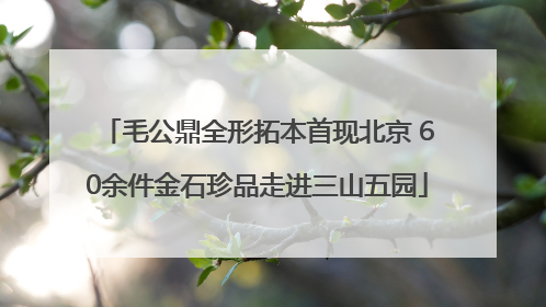 毛公鼎全形拓本首现北京 60余件金石珍品走进三山五园