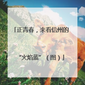 正青春，来看信州的“火焰蓝”（图）