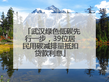 武汉绿色低碳先行一步，39位居民用碳减排量抵扣贷款利息