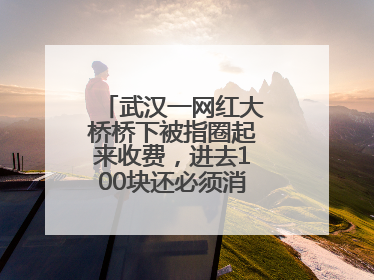 武汉一网红大桥桥下被指圈起来收费，进去100块还必须消费？当地回应