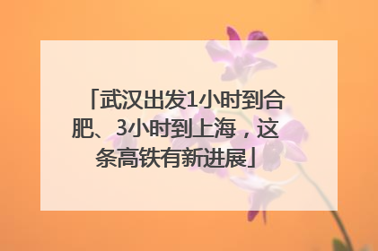 武汉出发1小时到合肥、3小时到上海，这条高铁有新进展