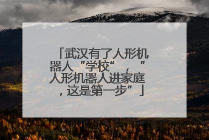 武汉有了人形机器人“学校”，“人形机器人进家庭，这是第一步”
