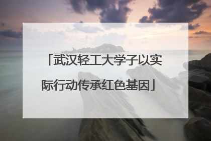 武汉轻工大学子以实际行动传承红色基因