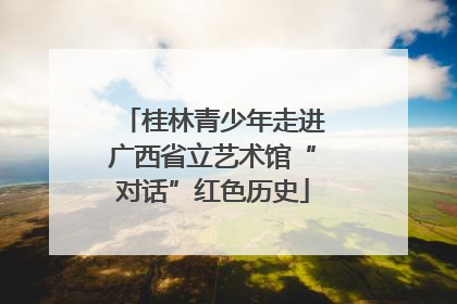 桂林青少年走进广西省立艺术馆“对话”红色历史