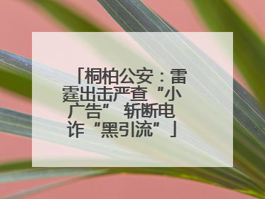 桐柏公安：雷霆出击严查“小广告” 斩断电诈“黑引流”