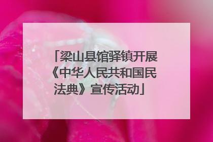梁山县馆驿镇开展《中华人民共和国民法典》宣传活动