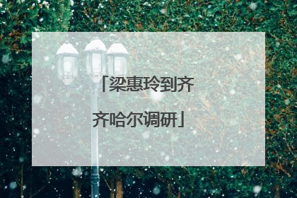 梁惠玲到齐齐哈尔调研