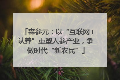 森参元：以“互联网+认养”重塑人参产业，争做时代“新农民”