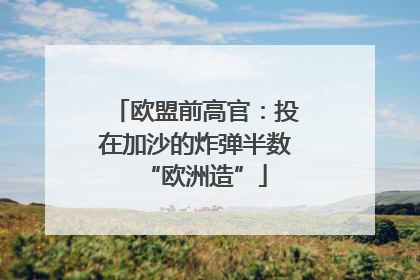 欧盟前高官：投在加沙的炸弹半数“欧洲造”