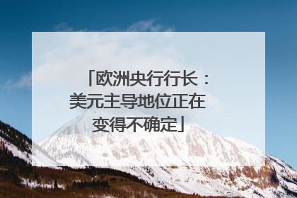 欧洲央行行长：美元主导地位正在变得不确定