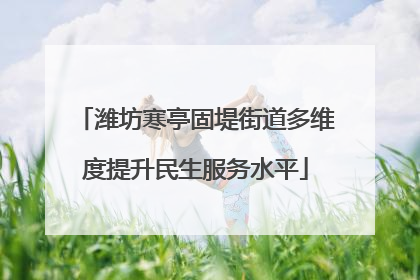 潍坊寒亭固堤街道多维度提升民生服务水平