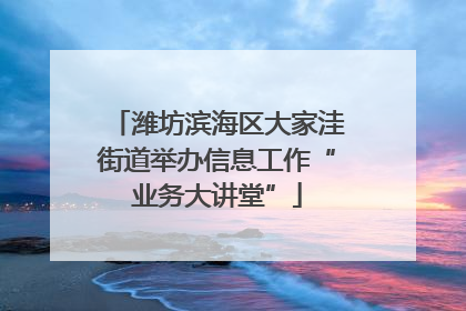 潍坊滨海区大家洼街道举办信息工作“业务大讲堂”