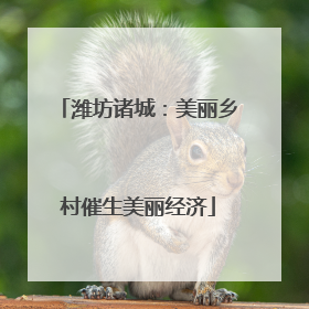 潍坊诸城：美丽乡村催生美丽经济