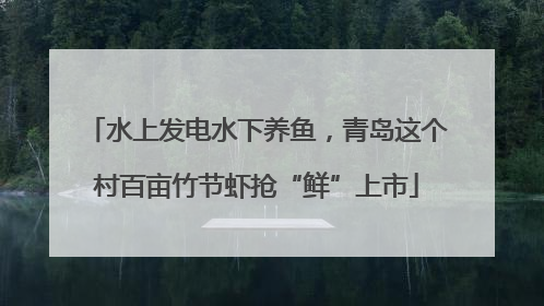 水上发电水下养鱼，青岛这个村百亩竹节虾抢“鲜”上市