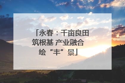 永春：千亩良田筑根基 产业融合绘“丰”景
