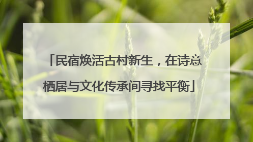 民宿焕活古村新生，在诗意栖居与文化传承间寻找平衡