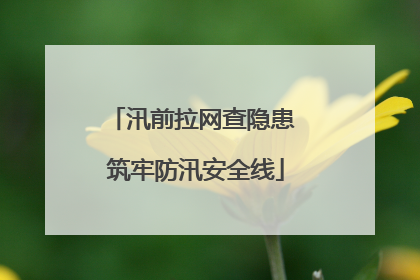 汛前拉网查隐患 筑牢防汛安全线