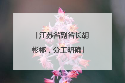 江苏省副省长胡彬郴，分工明确