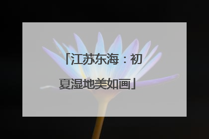 江苏东海：初夏湿地美如画