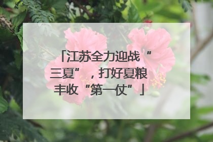 江苏全力迎战“三夏”，打好夏粮丰收“第一仗”