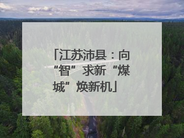 江苏沛县：向“智”求新“煤城”焕新机
