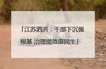 江苏泗洪：干部下沉强根基 治理提效惠民生
