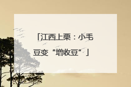 江西上栗：小毛豆变“增收豆”