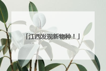 江西发现新物种！