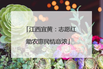 江西宜黄：志愿红助农惠民情意浓