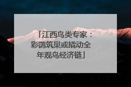 江西鸟类专家：彩鹮筑巢或撬动全年观鸟经济链
