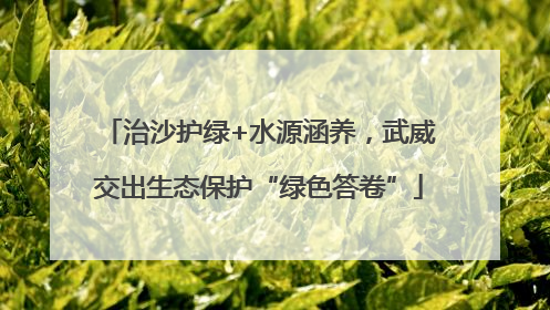 治沙护绿+水源涵养，武威交出生态保护“绿色答卷”
