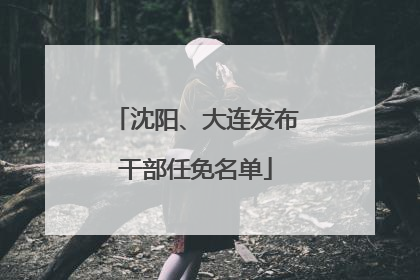 沈阳、大连发布干部任免名单