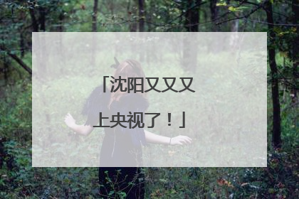 沈阳又又又上央视了！