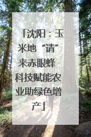 沈阳：玉米地“请”来赤眼蜂 科技赋能农业助绿色增产