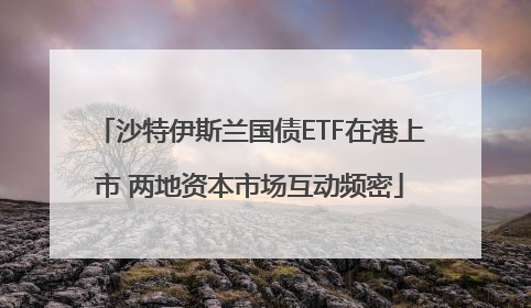 沙特伊斯兰国债ETF在港上市 两地资本市场互动频密