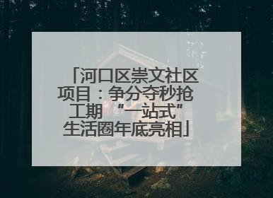 河口区崇文社区项目：争分夺秒抢工期 “一站式”生活圈年底亮相