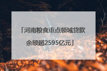河南粮食重点领域贷款余额超2595亿元