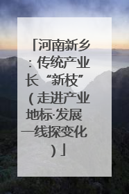 河南新乡：传统产业长“新枝”（走进产业地标·发展一线探变化）