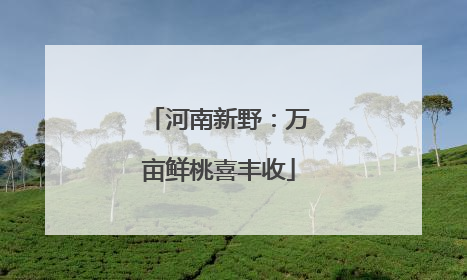 河南新野：万亩鲜桃喜丰收