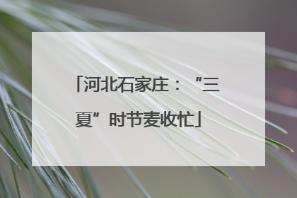 河北石家庄：“三夏”时节麦收忙
