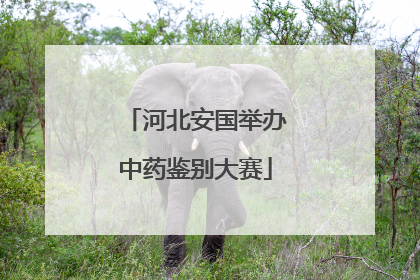 河北安国举办中药鉴别大赛