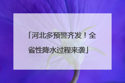 河北多预警齐发！全省性降水过程来袭